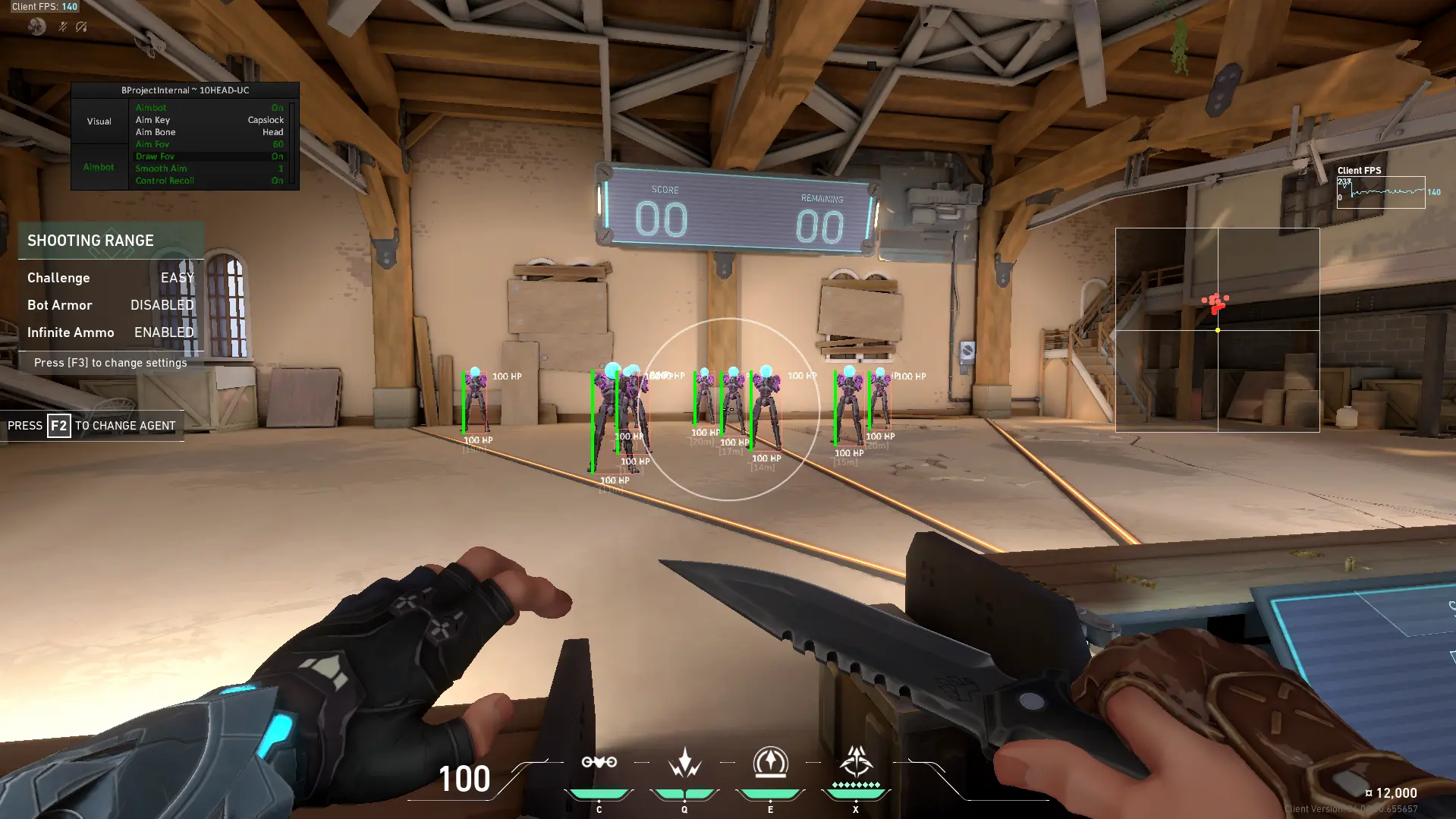 ESP & Wallhack